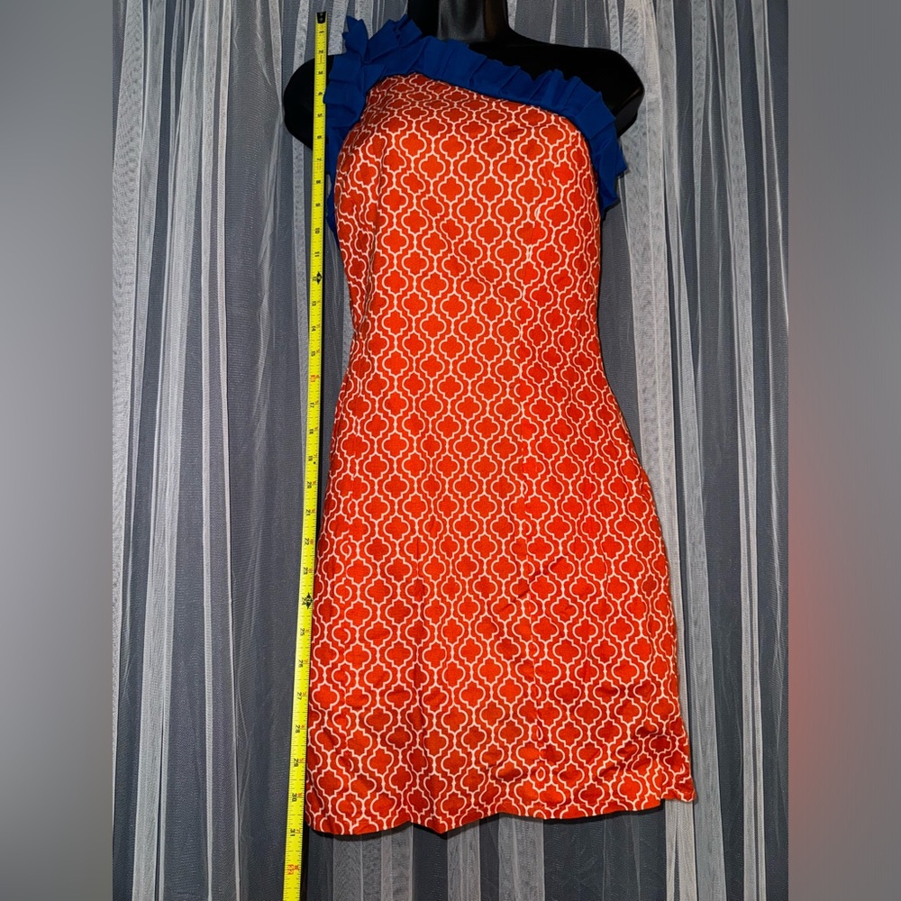 Natalie Kim Custom Florida Gators Gameday Dress - Picture 3 of 4